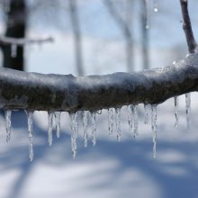 Distanzunterricht bis Freitag, 12.02.2021