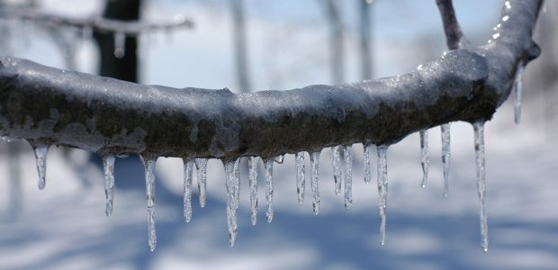 Distanzunterricht bis Freitag, 12.02.2021