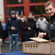 Taube als Friedenssymbol wurde in die Freiheit entlassen